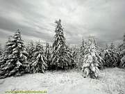 fichtelberg24.jpg